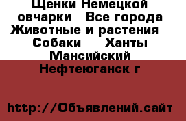 Щенки Немецкой овчарки - Все города Животные и растения » Собаки   . Ханты-Мансийский,Нефтеюганск г.